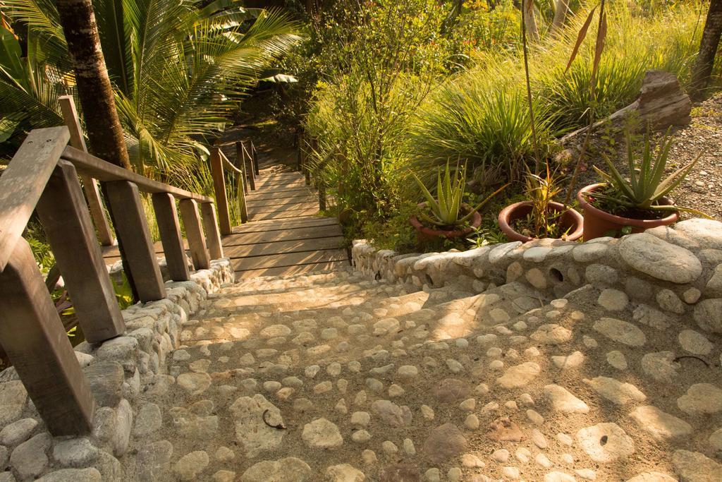 Finca Exotica Eco Lodge Carate Extérieur photo